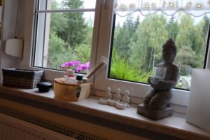 Blick aus dem Ferienhaus